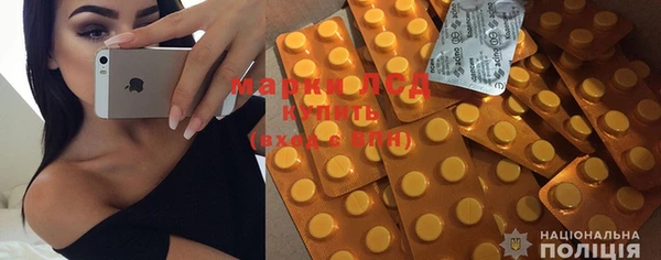 прущие грибы Орск