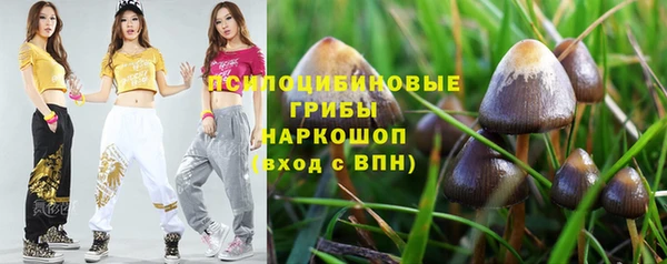 молекула духа Великий Новгород