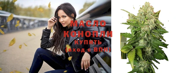 молекула духа Великий Новгород