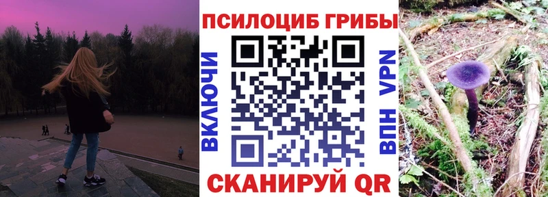 Галлюциногенные грибы Psilocybine cubensis  Купить где  Россошь 